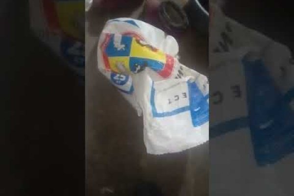 Mega darknet ссылка