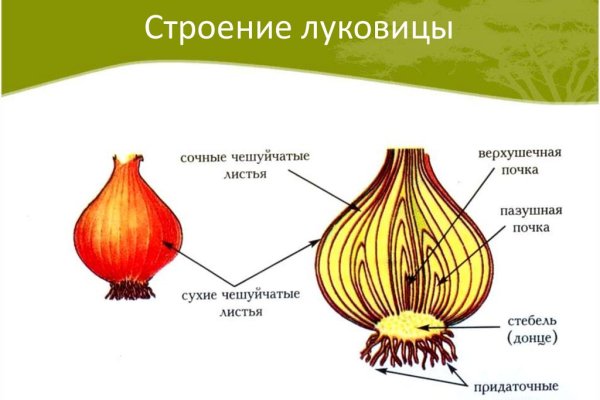 Что продают на сайте кракен