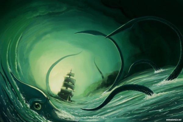 Kraken 6at